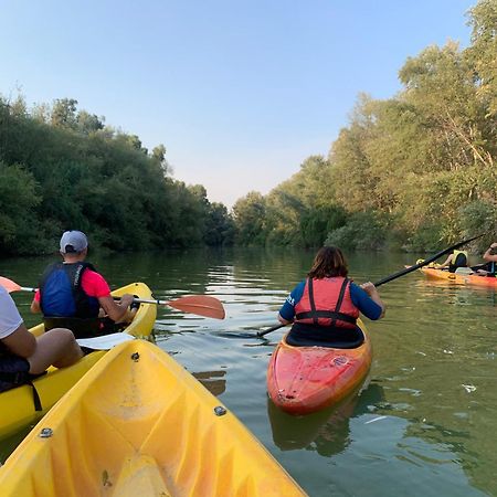 מלון Adamuz La Dehesa Experiences מראה חיצוני תמונה